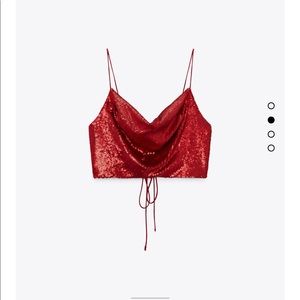 Zara Cropped Sparkle Top